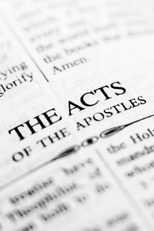 Acts Bible